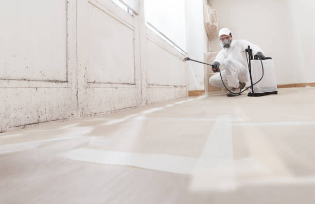 24/7 Emergency Mold Inspection experts in Richmond, IL
