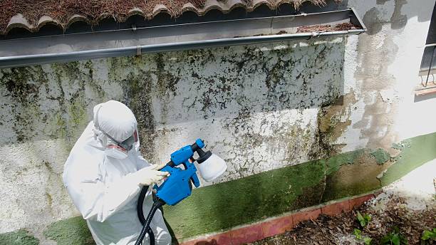 Trusted Mold Testing service in Richmond, IL - Cheap Mold Removal